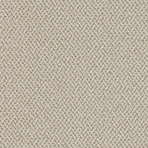 DreamWeaver CRETE - 4100 Spartis