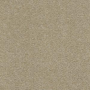 DreamWeaver CLEARWATER II - 2947 Sunflower