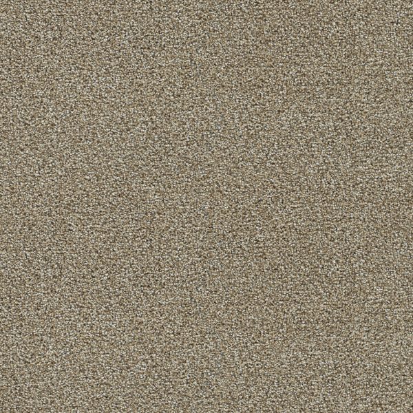 DreamWeaver CLEARWATER II - 774 Toasted Oat