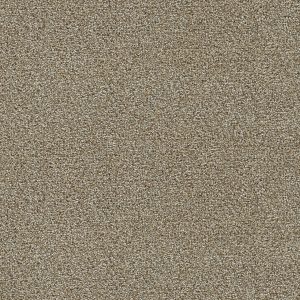 DreamWeaver CLEARWATER III - 774 Toasted Oat