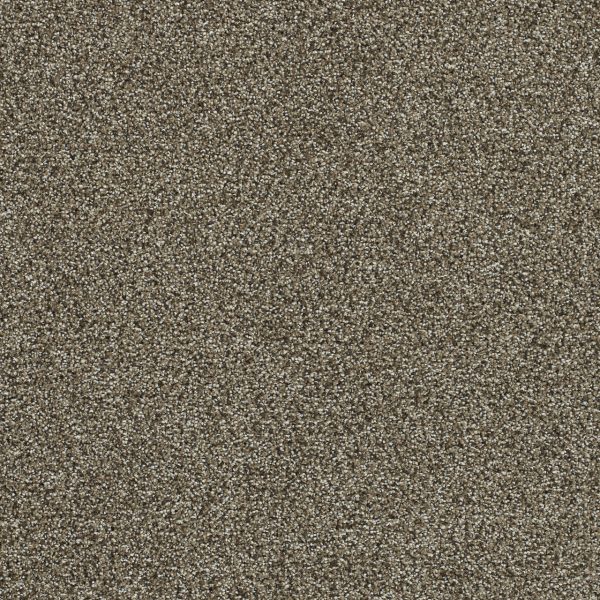 DreamWeaver CLEARWATER III - 834 Dark Truffle