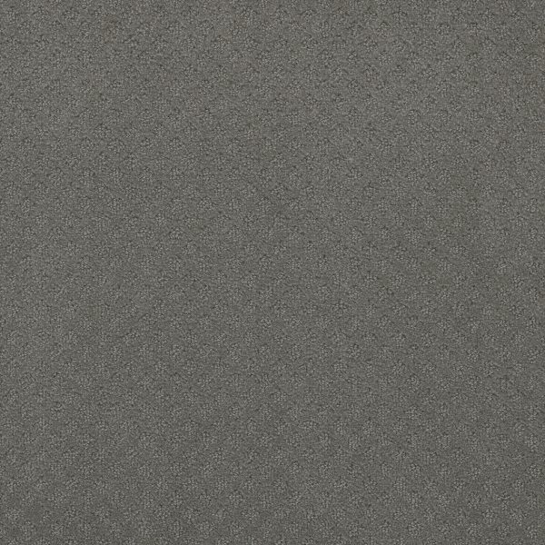DreamWeaver CAPRI - 6009 Skyway