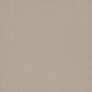 DreamWeaver STELLAR - 6309 Champagne Fizz