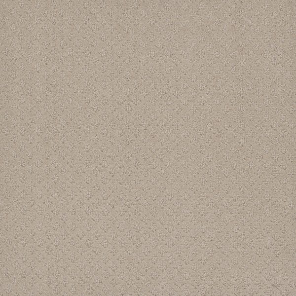 DreamWeaver STELLAR - 6309 Champagne Fizz