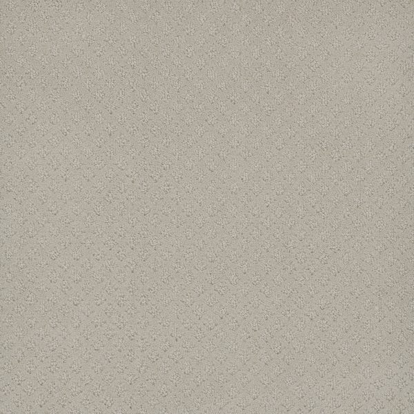 DreamWeaver CAPRI - 6319 Snow Cap