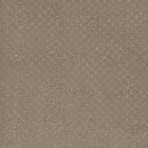 DreamWeaver STELLAR - 6339 Warm Sand