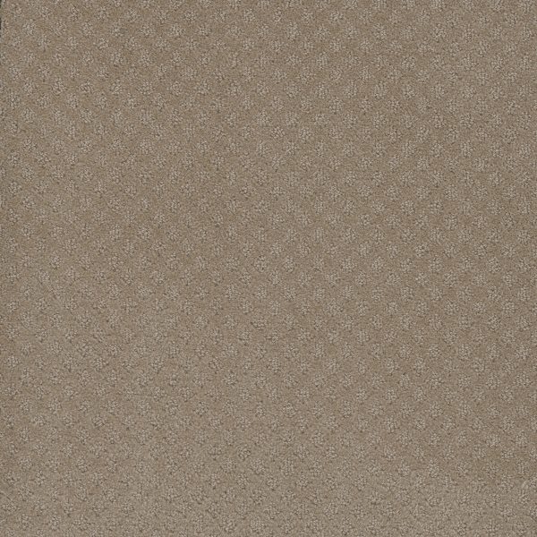 DreamWeaver STELLAR - 6339 Warm Sand