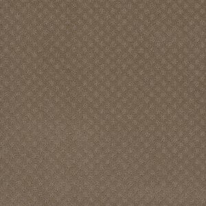 DreamWeaver CAPRI - 6564 Deer Path