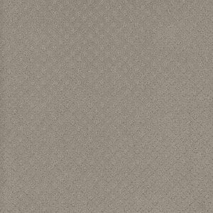 DreamWeaver CAPRI - 6827 Arrowhead