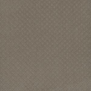 DreamWeaver CAPRI - 6841 Timber Ridge