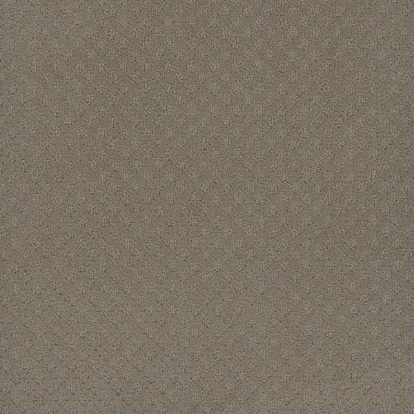 DreamWeaver CAPRI - 6841 Timber Ridge
