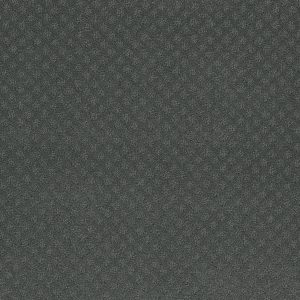 DreamWeaver CAPRI - 890 Onyx Waves