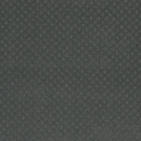 DreamWeaver CAPRI - 890 Onyx Waves