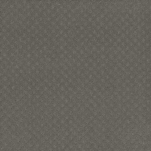 DreamWeaver CAPRI - 956 Bayside