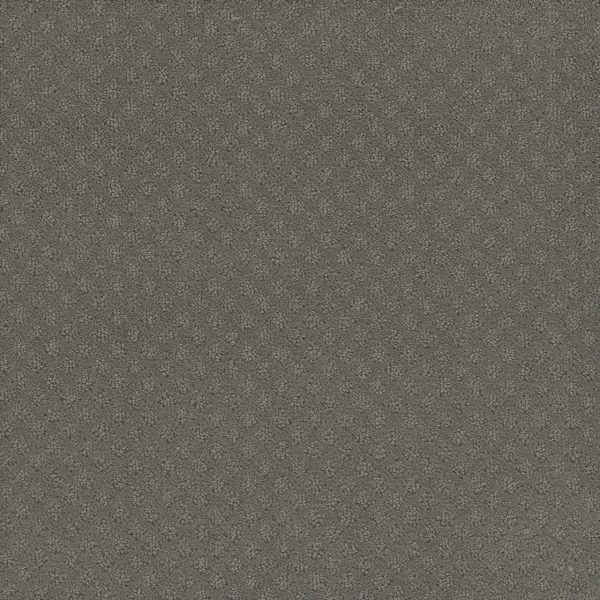 DreamWeaver CAPRI - 956 Bayside