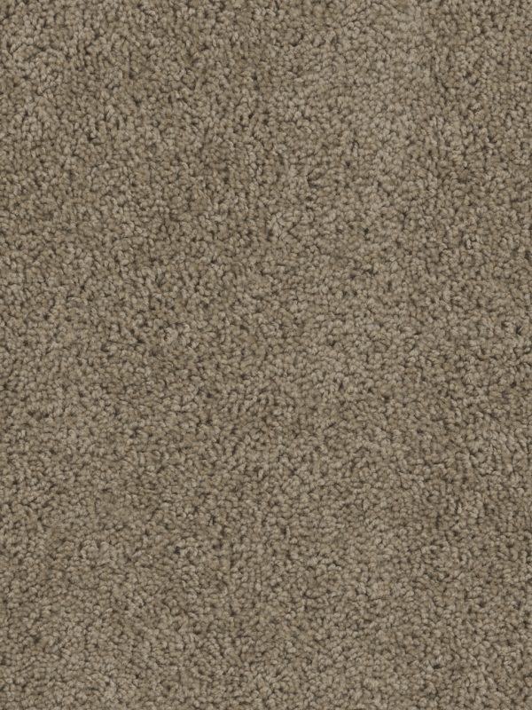 DreamWeaver TRACKER - 510 Honey Beige