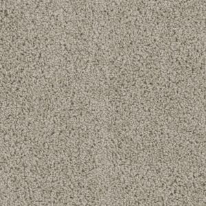 DreamWeaver TRACKER - 535 Flax Beige