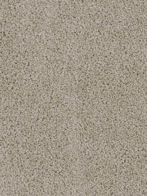 DreamWeaver TRACKER - 535 Flax Beige