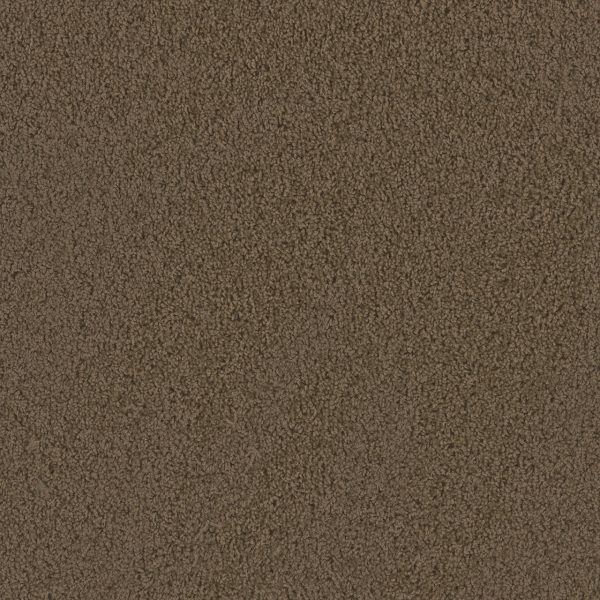 DreamWeaver TRACKER - 565 Taupe