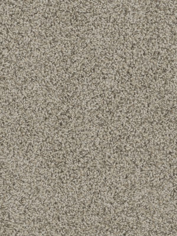 DreamWeaver TRACKER - 782 Almond