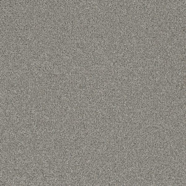 DreamWeaver ROYALE III - 6040 Winterscape