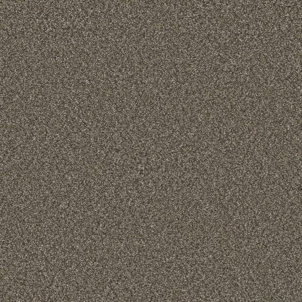 DreamWeaver ROYALE III - 6005 Fawn