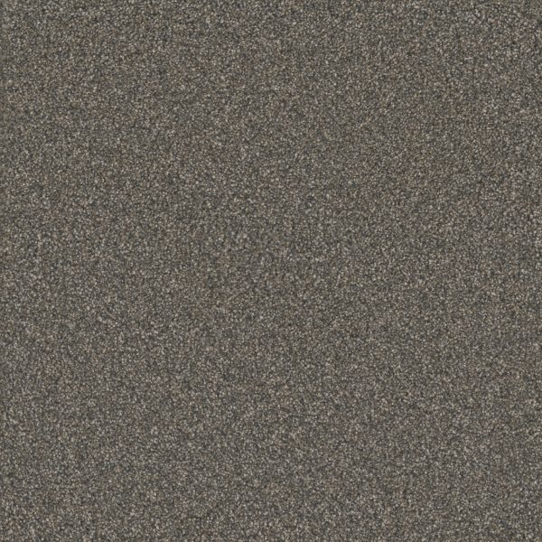 DreamWeaver MONTE CARLO III - 6009 Bordeaux