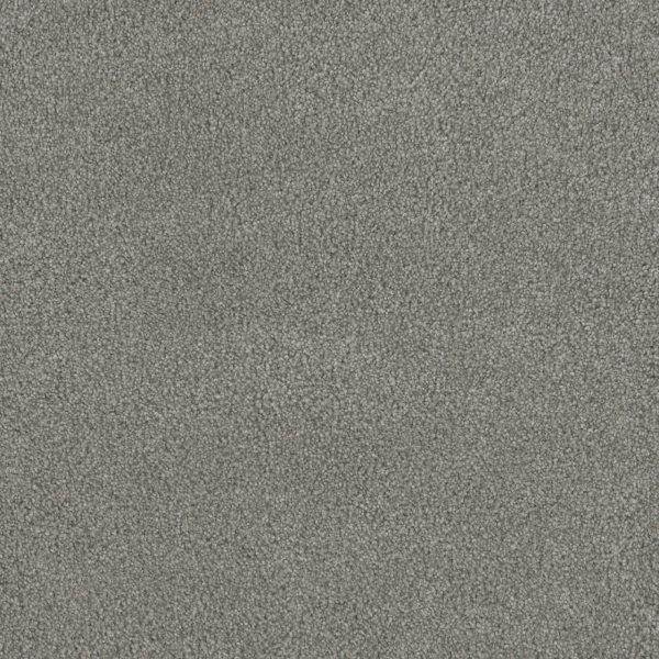 DreamWeaver MONTE CARLO III - 6040 Winterscape