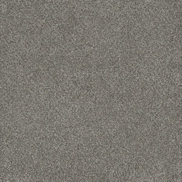 DreamWeaver MONTE CARLO III - 6077 Dogwood