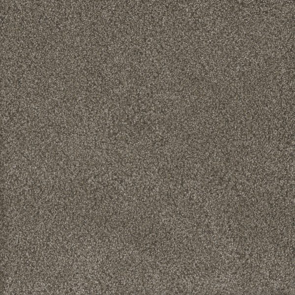 DreamWeaver MONTE CARLO III - 6005 Fawn