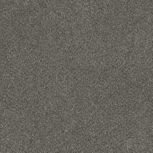 DreamWeaver MONTE CARLO III - 6049 Meadow Dance