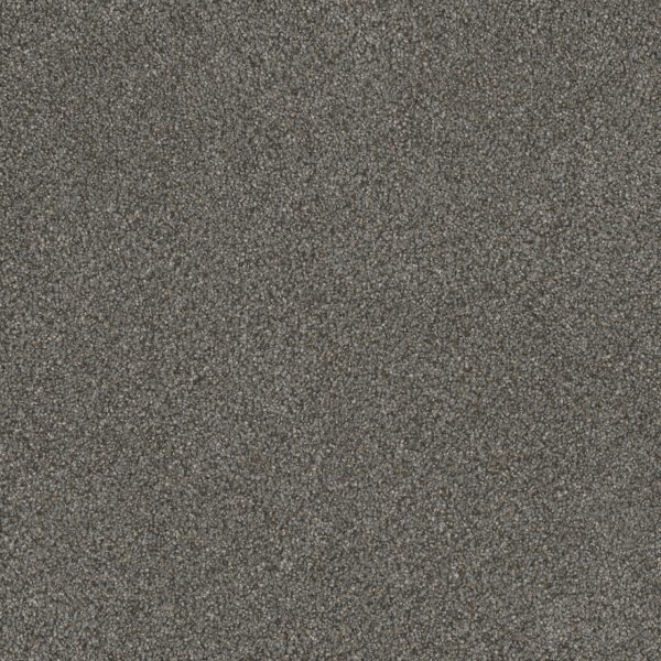 DreamWeaver MONTE CARLO III - 6049 Meadow Dance