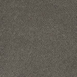 DreamWeaver MONTE CARLO III - 6112 Rugby