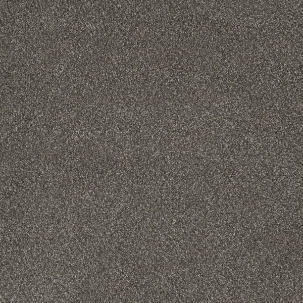 DreamWeaver MONTE CARLO III - 6112 Rugby