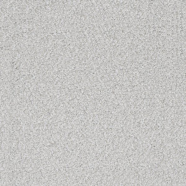 DreamWeaver WINDY CITY III - 4153 Ocean Pearl