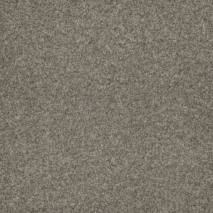 DreamWeaver ASTOUNDING III - 805 Baymont