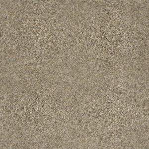 DreamWeaver ASTOUNDING III - 529 Amberwood