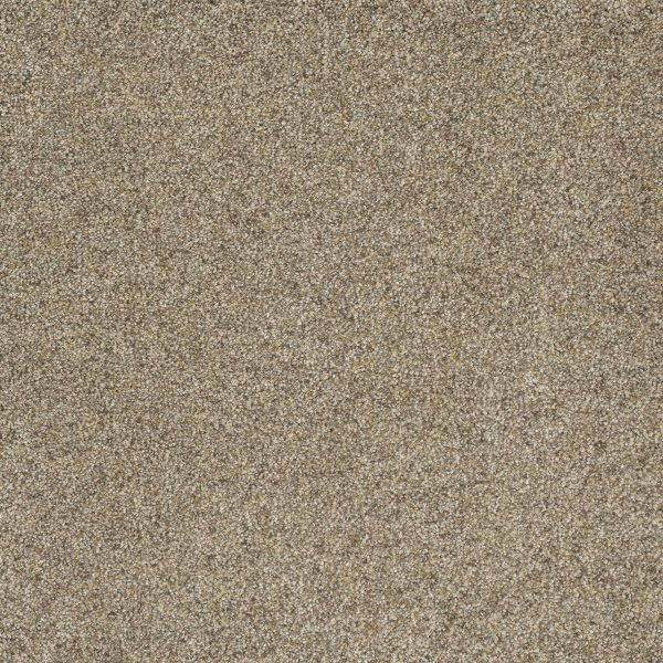 DreamWeaver ASTOUNDING III - 529 Amberwood