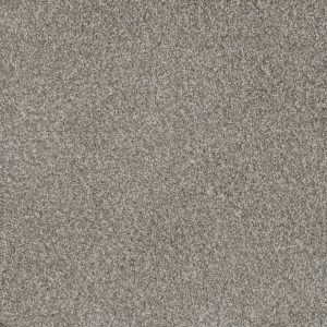 DreamWeaver MILL CREEK II - 2019 Crystal Pearl