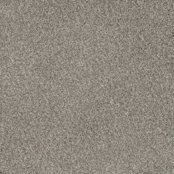 DreamWeaver MILL CREEK II - 2019 Crystal Pearl