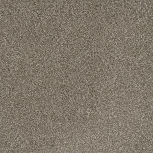 DreamWeaver MILL CREEK II - 2023 Polished Pebble