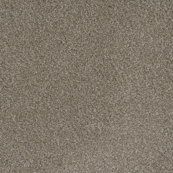 DreamWeaver MILL CREEK II - 2023 Polished Pebble