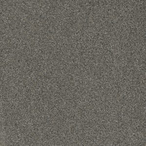 DreamWeaver MILL CREEK II - 2027 Rain Shadow