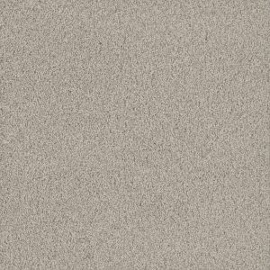 DreamWeaver NO LIMITS II - 5165 Aspen Glow