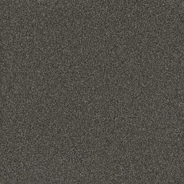 DreamWeaver NO LIMITS II - 2024 Magnetic