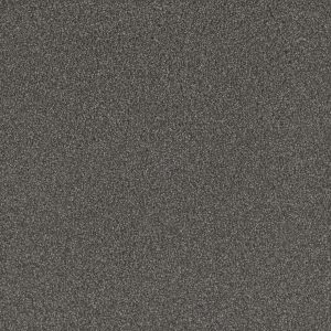 DreamWeaver NO LIMITS II - 5001 Warm Shadow
