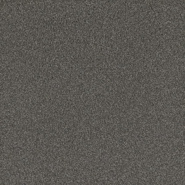 DreamWeaver NO LIMITS II - 5001 Warm Shadow