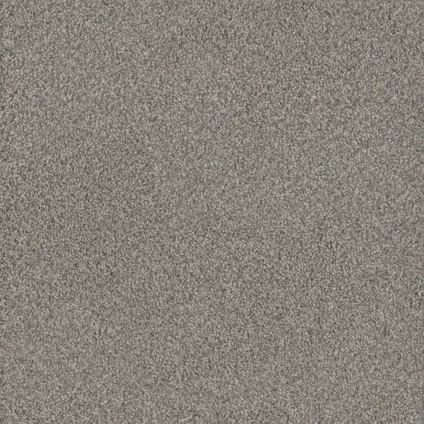 DreamWeaver NO LIMITS III - 5082 Dewberry