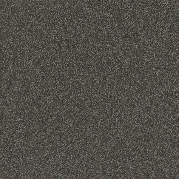 DreamWeaver NO LIMITS III - 2024 Magnetic