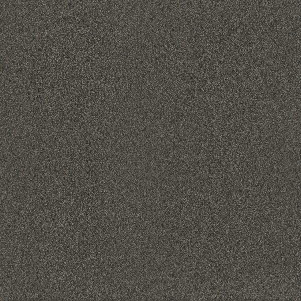 DreamWeaver BLAZER I - 4180 Smoky Quartz